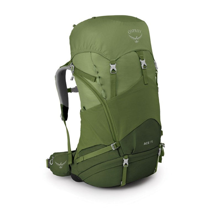 Osprey Ace 75 Green